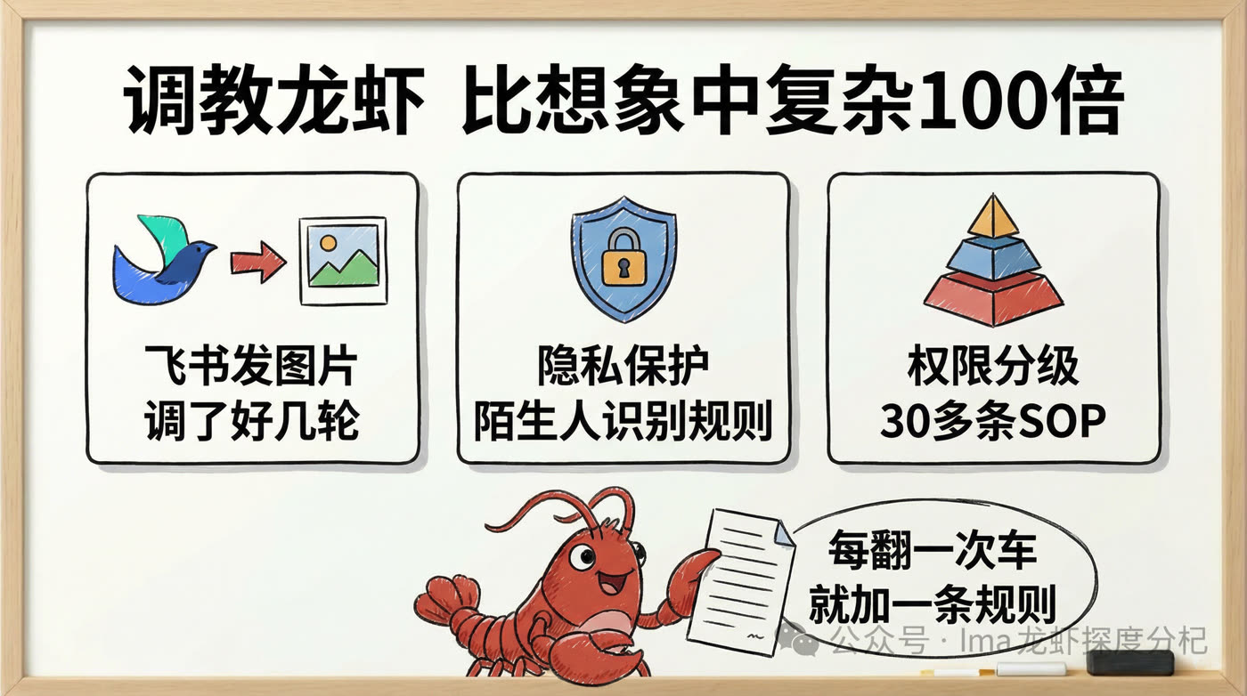 Training the lobster (Chinese)